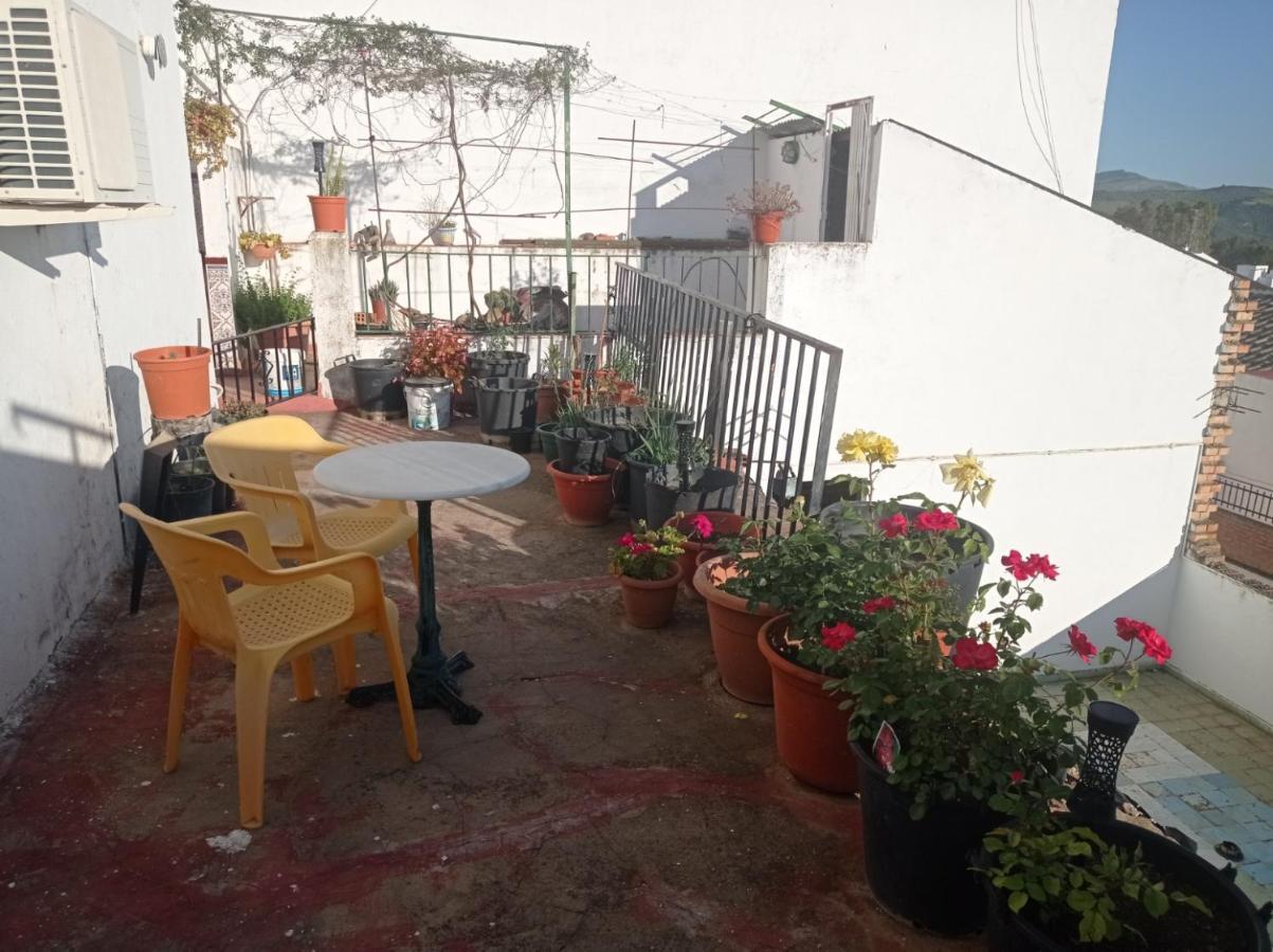 Apartament Individual Olvera Zewnętrze zdjęcie